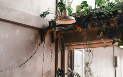 Ogród w domu: jak wkomponować rośliny w aranżację wnętrz?