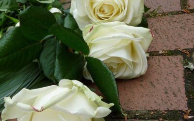 Zakład pogrzebowy oferujący usługę kremacji